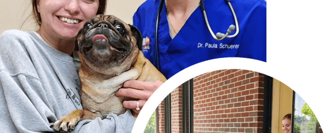  Discover Exceptional Veterinary Care at Banfield the Pet Hospital