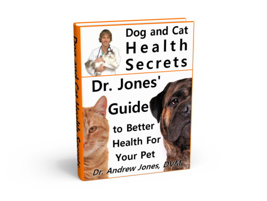  Understanding the Health Risks of Pets with Worms: A Comprehensive Guide