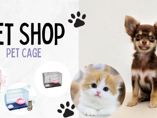  Discover the Best Pet Shops with Puppies Near Me: Your Ultimate Guide to Finding the Perfect Furry Companion