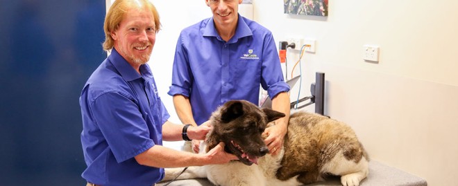 Discover Exceptional Veterinary Care at Banfield Pet Hospital Eugene