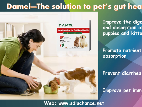  Discover Exceptional Care at Laredo Pet Vet: Your Trusted Partner for Pet Health and Well-being