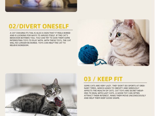  Discover the Best Pet Supplies Plus Cy for Your Furry Friends: A Comprehensive Guide